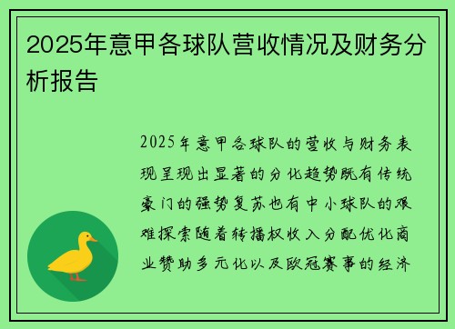 2025年意甲各球队营收情况及财务分析报告